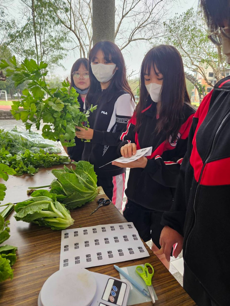 賣菜